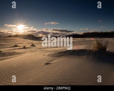 Des dunes en mouvement près de Debki, sur les rives de la mer Baltique. Vue sur le paysage juste après le lever du soleil. Floires visibles. Banque D'Images