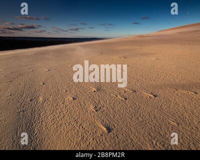 Déplacement des dunes de sable sur la rive de la mer Baltique. Debki, Pologne. Banque D'Images