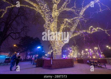 VIENNE, AUTRICHE.La patinoire Wiener Eistraum ou la nuit.Devant le Wiener Rathaus - Hôtel de ville de Wien. Banque D'Images