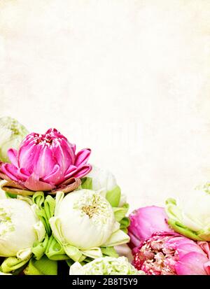 Grunge vertical avec ancienne texture de papier et des offres de fleurs de lotus de couleurs blanches et violettes. Espace de copie pour le texte Banque D'Images