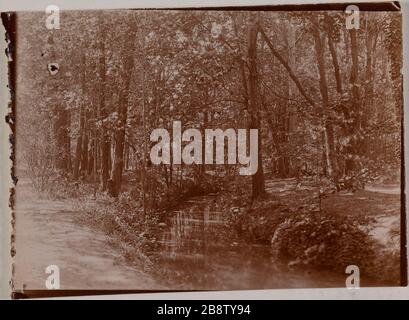 Ruisseaux dans un bois. 'Cours d'eau dans un bois'. Photo-club de Paris. Rage au gélatino-chlorure. Paris, musée Carnavalet. Banque D'Images