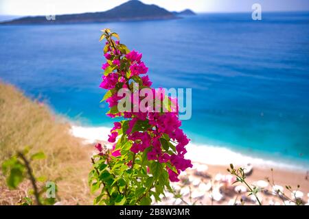 Paradise Beach à Kas, Antalya - Turquie. Plage vide avec parasols fermés sur Kaputaj Kemer Antalya Turquie plage. Banque D'Images