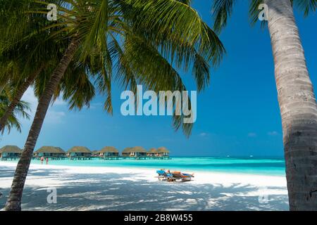 Plage de sable de l'île tropicale aux Maldives Banque D'Images
