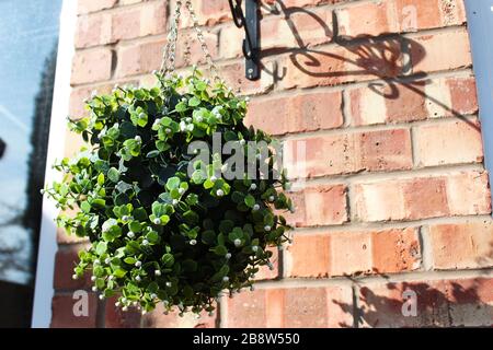 Faux panier suspendu dans un jardin le matin du printemps Banque D'Images