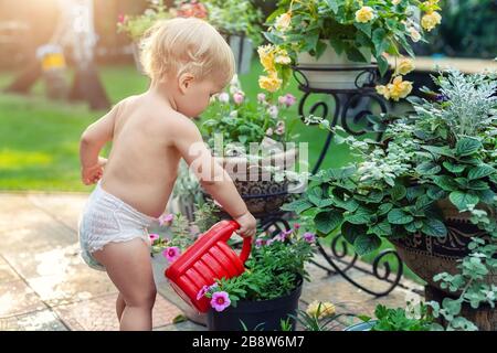 Cuate Adorable Petit Garcon Blond Caucasien Dans Un Pot De Fleurs Arrosant De Couches Blanches Avec