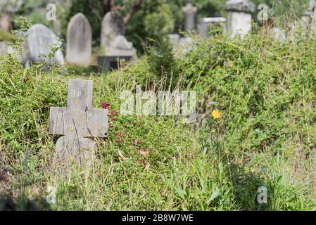 Sites de tombes négligés et surcultivés au cimetière commémoratif de Gore Hill dans la banlieue de Sydney de St Leonards en Australie. Le cimetière exploite 1877-1974 Banque D'Images