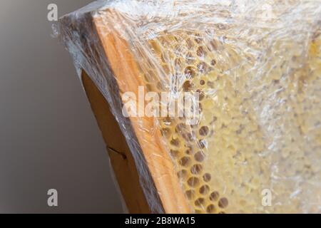 Sabots de miel d'abeilles dans un cadre en bois. Produits du miel à vendre Banque D'Images