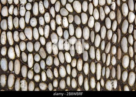 Texture de pavés ovales gris lisses enterrés dans la terre noire comme revêtement de chaussée. Banque D'Images