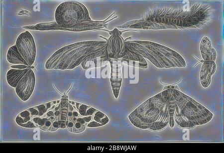 Six insectes, une chenille, et un escargot, après 1644, Venceslas Hollar, tchèque, 1607-1677, Bohême, gravure sur papier ivoire, 116 × 182 mm (feuille, taillée dans la marque de la plaque), repensée par Gibon, dessin de glanissement chaud et gai de luminosité et de rayons de lumière. L'art classique réinventé avec une touche moderne. La photographie inspirée du futurisme, qui embrasse l'énergie dynamique de la technologie moderne, du mouvement, de la vitesse et révolutionne la culture. Banque D'Images