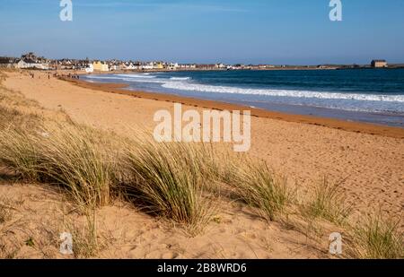 Elie Beach, Elie et Earlsferry, Fife, Écosse. Banque D'Images