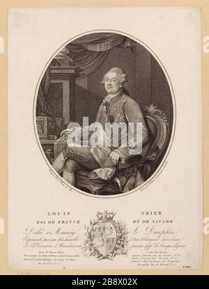 Louis Seize / Roi de France et Navarre Banque D'Images
