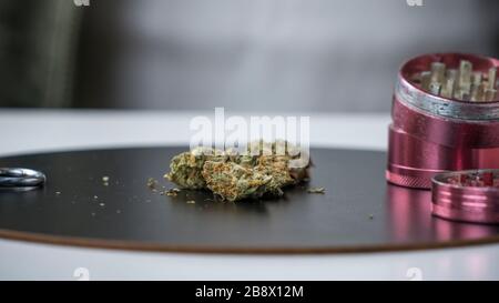 Gros plan sur les bourgeons et le moulin à marijuana à usage médical. Le cannabis est un concept de phytothérapie ou de médecine alternative Banque D'Images