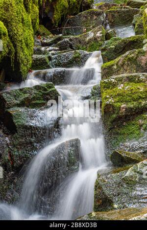 Ruisseau forestier ou petite chute d'eau à Bergen, Norvège. Exposition longue. Banque D'Images