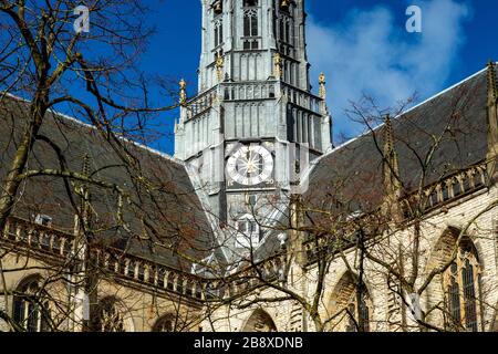 La grande église (Grote Kerk) dans la ville de Haarlem domine la ville depuis des siècles. Il est construit dans le style gothique. Banque D'Images