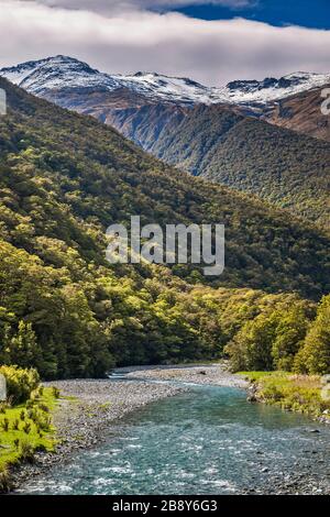 Mt Armstrong, Mt Kaye, Haast River, près de Gates of Haast Bridge, Young Range, Mount aspirant Natl Park, région de la côte ouest, île du Sud, Nouvelle-Zélande Banque D'Images