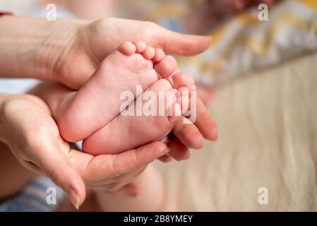 Les mains de la mère maintiennent les jambes du bébé. Les racines de l'enfant sont dans les paumes de la mère. Banque D'Images