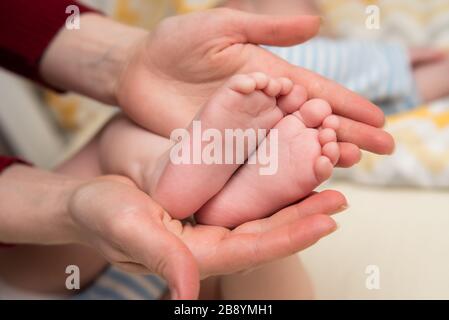 Les mains de la mère maintiennent les jambes du bébé. Les racines du tout-petit sont dans les paumes de la mère. Banque D'Images