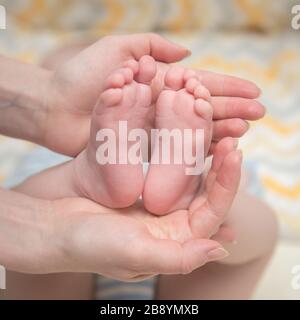 Les mains de la mère maintiennent les jambes du bébé. Les racines de l'enfant sont dans les paumes de la mère. Banque D'Images