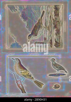 Anthus pratensis, Print, la prairie pipit (Anthus pratensis) est un petit oiseau de sérine qui se reproduit dans la plupart des régions du nord-ouest de l'Eurasie, du sud-est du Groenland et de l'Islande à l'est à l'est des montagnes de l'Oural en Russie, Et au sud du centre de la France et de la Roumanie, il y a aussi une population isolée dans les montagnes du Caucase. Elle est migratrice dans la plupart de ses aires de répartition, hivernant en Europe du Sud, en Afrique du Nord et en Asie du Sud-Ouest, mais elle est résidente toute l'année en Europe occidentale. Cependant, même ici, de nombreux oiseaux se déplacent vers la côte ou les basses terres en hiver., 1700-1880, réinventé par Gibon, conception de la guerre Banque D'Images