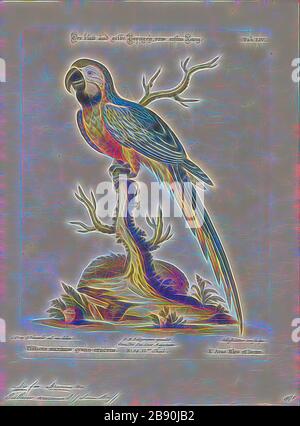 Ara ararauna, d'impression, la couleur bleu-et-jaune macaw (Ara ararauna), également connu sous le nom de bleu et or, Ara est un grand perroquet d'Amérique du Sud avec la plupart des pièces haut bleu et orange de la lumière de l'oiseau, avec des teintes de vert dégradé sur le dessus de sa tête. Il est membre de l'important groupe de perroquets néotropicaux connu comme des aras. Elle habite les forêts (surtout varzea, mais aussi dans d'ouvrir des sections de forêt non inondés ou terra firme), des bois et des savanes de l'Amérique du Sud tropicale. Ils sont populaires dans l'aviculture à cause de leur couleur, la capacité de parler et de l'existence sur le marché, et à proximité bondin Banque D'Images