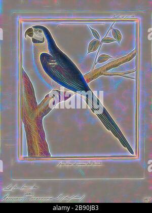 Ara ararauna, d'impression, la couleur bleu-et-jaune macaw (Ara ararauna), également connu sous le nom de bleu et or, Ara est un grand perroquet d'Amérique du Sud avec la plupart des pièces haut bleu et orange de la lumière de l'oiseau, avec des teintes de vert dégradé sur le dessus de sa tête. Il est membre de l'important groupe de perroquets néotropicaux connu comme des aras. Elle habite les forêts (surtout varzea, mais aussi dans d'ouvrir des sections de forêt non inondés ou terra firme), des bois et des savanes de l'Amérique du Sud tropicale. Ils sont populaires dans l'aviculture à cause de leur couleur, la capacité de parler et de l'existence sur le marché, et à proximité bondin Banque D'Images