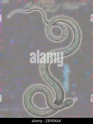 Homalopsis plicatilis, Print, Homalopsis est un genre de serpents de la famille des Homalopsidae. Le genre est limité à l'Asie du Sud-est et comprend cinq espèces actuellement reconnues. Comme tous les membres de la famille des Homalopsidae, les Homalopsis sont fanés à l'arrière et légèrement venimeux, bien que considérés comme inoffensifs pour les humains., 1734-1765, repensés par Gibon, conception d'un brillant chaleureux de luminosité et de rayonnement de lumière. L'art classique réinventé avec une touche moderne. La photographie inspirée du futurisme, qui embrasse l'énergie dynamique de la technologie moderne, du mouvement, de la vitesse et révolutionne la culture. Banque D'Images