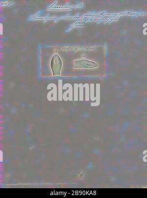 Homalopsis plumbea, Print, Homalopsis est un genre de serpents de la famille des Homalopsidae. Le genre est limité à l'Asie du Sud-est et comprend cinq espèces actuellement reconnues. Comme tous les membres de la famille des Homalopsidae, les Homalopsis sont fanés à l'arrière et légèrement venimeux, bien que considérés comme inoffensifs pour les humains., tête, repensée par Gibon, conception de gai chaleureux de luminosité et de rayonnement de lumière. L'art classique réinventé avec une touche moderne. La photographie inspirée du futurisme, qui embrasse l'énergie dynamique de la technologie moderne, du mouvement, de la vitesse et révolutionne la culture. Banque D'Images