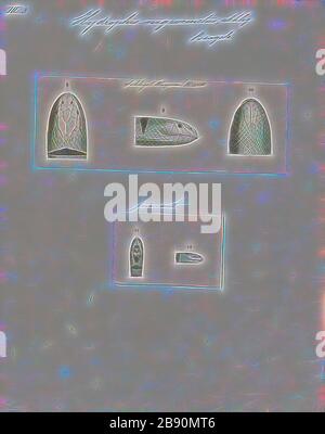 Hydrophis nigrocinctus, Print, Hydrophis nigrocinctus est une espèce de serpents venimeux marins Elapidae (serpent de mer-hydrophiinae). Répartition: Océan Indien: Inde, Bangladesh, Sri Lanka, Myanmar (= Birmanie), Thaïlande, Malaisie., 1700-1880, repensé par Gibon, design de glanissement chaleureux et gai de la luminosité et des rayons de lumière radiance. L'art classique réinventé avec une touche moderne. La photographie inspirée du futurisme, qui embrasse l'énergie dynamique de la technologie moderne, du mouvement, de la vitesse et révolutionne la culture. Banque D'Images