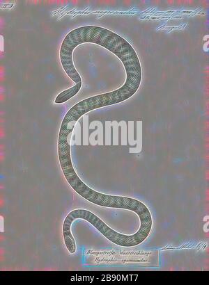 Hydrophis nigrocinctus, Print, Hydrophis nigrocinctus est une espèce de serpents venimeux marins Elapidae (serpent de mer-hydrophiinae). Répartition: Océan Indien: Inde, Bangladesh, Sri Lanka, Myanmar (= Birmanie), Thaïlande, Malaisie., 1700-1880, repensé par Gibon, design de glanissement chaleureux et gai de la luminosité et des rayons de lumière radiance. L'art classique réinventé avec une touche moderne. La photographie inspirée du futurisme, qui embrasse l'énergie dynamique de la technologie moderne, du mouvement, de la vitesse et révolutionne la culture. Banque D'Images