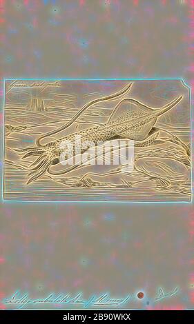 Logo subulata, Print, alloteuthis subulata, le calmar commun européen, est une espèce de calmar du genre alloteuthis et de la famille des Loginidae., repensée par Gibon, conception de glanissement chaleureux et gai de la luminosité et des rayons de lumière radiance. L'art classique réinventé avec une touche moderne. La photographie inspirée du futurisme, qui embrasse l'énergie dynamique de la technologie moderne, du mouvement, de la vitesse et révolutionne la culture. Banque D'Images