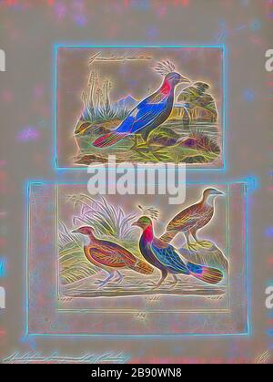 Lophophophorus despeyanus, Print, The Himalayan monal (Lophophorus despejanus), également connu sous le nom de Pheasant impeyan monal et impeyan, est un oiseau de la famille des faisans, les Phasianidae. C'est l'oiseau national du Népal, où il est connu sous le nom de danphe, et l'oiseau d'état d'Uttarakhand, en Inde, où il est connu sous le nom de monal. C'était aussi l'oiseau d'État de l'Himachal Pradesh jusqu'en 2007. Le nom scientifique commémore Lady Mary Impey, épouse du juge en chef britannique du Bengale Sir Elijah Impey., 1700-1880, réinventé par Gibon, design de gaieté chaleureuse et gaie de la luminosité et des rayons de lumière radiance. Classique Banque D'Images