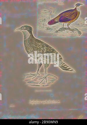 Lophophophorus despeyanus, Print, The Himalayan monal (Lophophorus despejanus), également connu sous le nom de Pheasant impeyan monal et impeyan, est un oiseau de la famille des faisans, les Phasianidae. C'est l'oiseau national du Népal, où il est connu sous le nom de danphe, et l'oiseau d'état d'Uttarakhand, en Inde, où il est connu sous le nom de monal. C'était aussi l'oiseau d'État de l'Himachal Pradesh jusqu'en 2007. Le nom scientifique commémore Lady Mary Impey, épouse du juge en chef britannique du Bengale Sir Elijah Impey., repensé par Gibon, design de gaieté chaleureuse et gaie de la luminosité et des rayons de lumière radiance. Réinvente de l'art classique Banque D'Images