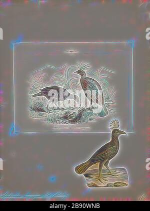 Lophophophorus despeyanus, Print, The Himalayan monal (Lophophorus despejanus), également connu sous le nom de Pheasant impeyan monal et impeyan, est un oiseau de la famille des faisans, les Phasianidae. C'est l'oiseau national du Népal, où il est connu sous le nom de danphe, et l'oiseau d'état d'Uttarakhand, en Inde, où il est connu sous le nom de monal. C'était aussi l'oiseau d'État de l'Himachal Pradesh jusqu'en 2007. Le nom scientifique commémore Lady Mary Impey, épouse du juge en chef britannique du Bengale Sir Elijah Impey., 1700-1880, réinventé par Gibon, design de gaieté chaleureuse et gaie de la luminosité et des rayons de lumière radiance. Classique Banque D'Images