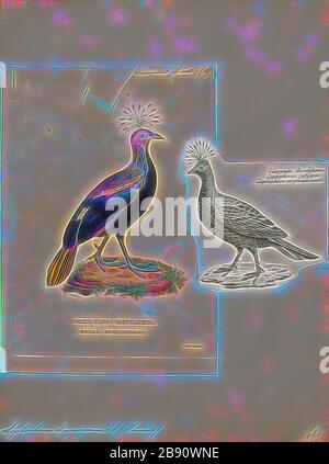 Lophophophorus despeyanus, Print, The Himalayan monal (Lophophorus despejanus), également connu sous le nom de Pheasant impeyan monal et impeyan, est un oiseau de la famille des faisans, les Phasianidae. C'est l'oiseau national du Népal, où il est connu sous le nom de danphe, et l'oiseau d'état d'Uttarakhand, en Inde, où il est connu sous le nom de monal. C'était aussi l'oiseau d'État de l'Himachal Pradesh jusqu'en 2007. Le nom scientifique commémore Lady Mary Impey, épouse du juge en chef britannique du Bengale Sir Elijah Impey., 1844-1846, réinventé par Gibon, design de gaieté chaleureuse et gaie de la luminosité et des rayons de lumière radiance. Classique Banque D'Images