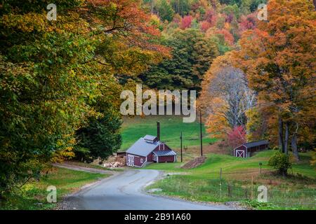 Arbres d'automne et cabane à sucre pour faire bouillir et faire du sirop d'érable, Reading, Vermont, automne Nouvelle-Angleterre automne, États-Unis Banque D'Images