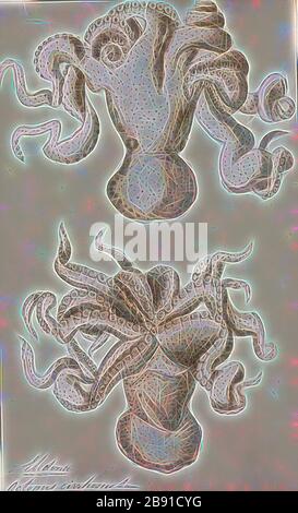 Octopus cirrhosus, Print, l'Octopus est un mollusque à huit couches de l'ordre Octopoda. Environ 300 espèces sont reconnues, et l'ordre est groupé dans la classe Céphalopoda avec des calmars, des seiches et des nautiloïdes. Comme les autres céphalopodes, l'Octopus est bilatéralement symétrique avec deux yeux et un bec, avec sa bouche au point central des huit membres (le tentacle est utilisé comme terme parapluie pour les membres du céphalopodes, toutefois, dans un contexte théologique, le bras est utilisé pour désigner de tels membres alors que le tentacle est réservé aux appendices alimentaires non trouvés sur les octofuses). Le corps souple peut Banque D'Images