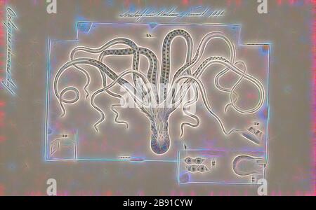 Octopus niveus, Print, l'Octopus est un mollusque corsé et à huit couches de l'ordre Octopoda. Environ 300 espèces sont reconnues, et l'ordre est groupé dans la classe Céphalopoda avec des calmars, des seiches et des nautiloïdes. Comme les autres céphalopodes, l'Octopus est bilatéralement symétrique avec deux yeux et un bec, avec sa bouche au point central des huit membres (le tentacle est utilisé comme terme parapluie pour les membres du céphalopodes, toutefois, dans un contexte théologique, le bras est utilisé pour désigner de tels membres alors que le tentacle est réservé aux appendices alimentaires non trouvés sur les octofuses). Le corps doux peut rap Banque D'Images