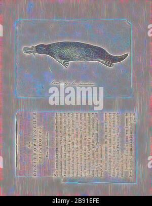 Ornithorhynchus paradoxus, Print, The platypus (Ornithorhynchus anatius), parfois appelé platypus à bec de canard, est un mammifère sémiaquatique à ponte d'œufs endémique à l'est de l'Australie, y compris la Tasmanie. Le platypus est le seul représentant vivant de sa famille (Ornithorhynchidae) et de son genre (Ornithorhynchus), bien qu'un certain nombre d'espèces apparentées apparaissent dans le bilan fossile., 1700-1880, réinventé par Gibon, design de glawing chaud et gai de lumière radiance. L'art classique réinventé avec une touche moderne. La photographie inspirée du futurisme, embrassant l'énergie dynamique de la moder Banque D'Images