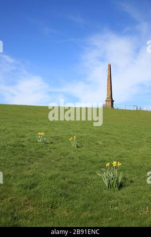 Wychbury obélisque, Hagley, Worcestershire, Angleterre, Royaume-Uni. Banque D'Images