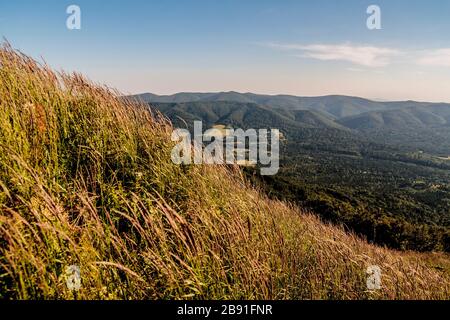 La route de Mieczysław Orłowicz Pass à Smerek dans les montagnes de Bieszczady en Pologne Banque D'Images