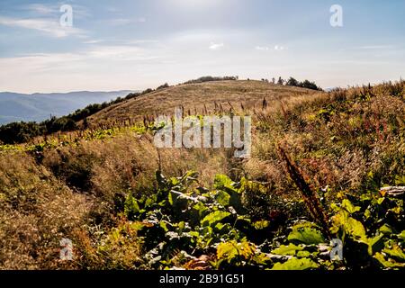 La route de Mieczysław Orłowicz Pass à Smerek dans les montagnes de Bieszczady en Pologne Banque D'Images