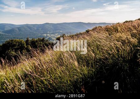 La route de Mieczysław Orłowicz Pass à Smerek dans les montagnes de Bieszczady en Pologne Banque D'Images