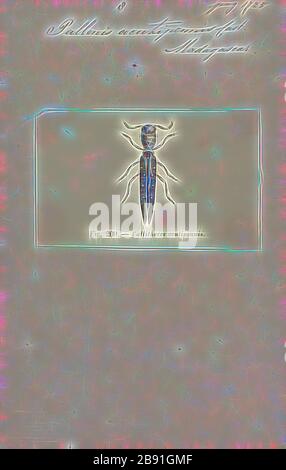 Pallenis, Print, Pallenis est un petit genre de plantes fleuries de la tribu des samphir au sein de la famille des tournesol. Le nom est dérivé de la palea (balle), se référant au réceptacle de chaffy., repensé par Gibon, la conception de gai gai chaud de luminosité et de rayons de lumière radiance. L'art classique réinventé avec une touche moderne. La photographie inspirée du futurisme, qui embrasse l'énergie dynamique de la technologie moderne, du mouvement, de la vitesse et révolutionne la culture. Banque D'Images