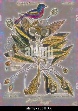 Passerina ciris, Print, The Painted bunting (Passerina ciris) est une espèce d'oiseau de la famille cardinale, Cardinalidae, originaire d'Amérique du Nord. Le plumage lumineux du mâle ne vient que dans la deuxième année de vie, dans la première année, ils ne peuvent être distingués de la femelle que par une inspection rapprochée., 1700-1880, repensé par Gibon, conception de gai gai chaleureux de luminosité et de rayons de lumière radiance. L'art classique réinventé avec une touche moderne. La photographie inspirée du futurisme, qui embrasse l'énergie dynamique de la technologie moderne, du mouvement, de la vitesse et révolutionne la culture. Banque D'Images