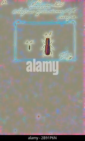 Platypus, Print, The platypus (Ornithorhynchus anatius), parfois appelé platypus à bec de canard, est un mammifère sémiaquatique à ponte d'œufs endémique à l'est de l'Australie, y compris la Tasmanie. Le platypus est le seul représentant vivant de sa famille (Ornithorhynchidae) et de son genre (Ornithorhynchus), bien qu'un certain nombre d'espèces apparentées apparaissent dans le bilan fossile., réinventé par Gibon, design de glanissement chaleureux et joyeux de la luminosité et de la radiance des rayons de lumière. L'art classique réinventé avec une touche moderne. La photographie inspirée du futurisme, embrassant l'énergie dynamique de la technologie moderne, du mouvement, de la vitesse Banque D'Images