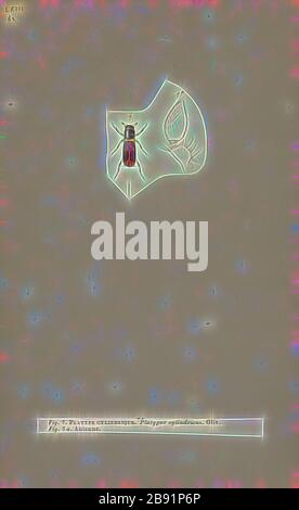 Platypus, Print, The platypus (Ornithorhynchus anatius), parfois appelé platypus à bec de canard, est un mammifère sémiaquatique à ponte d'œufs endémique à l'est de l'Australie, y compris la Tasmanie. Le platypus est le seul représentant vivant de sa famille (Ornithorhynchidae) et de son genre (Ornithorhynchus), bien qu'un certain nombre d'espèces apparentées apparaissent dans le bilan fossile., réinventé par Gibon, design de glanissement chaleureux et joyeux de la luminosité et de la radiance des rayons de lumière. L'art classique réinventé avec une touche moderne. La photographie inspirée du futurisme, embrassant l'énergie dynamique de la technologie moderne, du mouvement, de la vitesse Banque D'Images