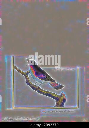 Setophaga tricolor, Print, la Paruline de palmier est membre du genre Setophaga. Setophaga est un genre d'oiseaux de la famille des Parulidae du New World. Il contient au moins 33 espèces. Les mâles du plumage de reproduction sont souvent très colorés. Les ogives de Setophaga sont un exemple de rayonnement adaptatif avec les différentes espèces utilisant différentes techniques d'alimentation et se nourrissant souvent dans différentes parties du même arbre., 1700-1880, repensé par Gibon, conception de glanissement chaud et gai de la luminosité et des rayons de lumière radiance. L'art classique réinventé avec une touche moderne. Photographie inspirée du futurisme, embra Banque D'Images