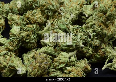 Extrême gros plan de grande quantité dense marijuana verte avec de beaux trichomes Banque D'Images