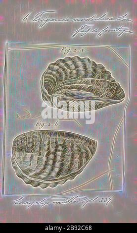 Trigonia nodulosa, Imprimer, Schéma de Trigonia costata James Parkinson, montrant les principales caractéristiques morphologiques de l'extérieur de la coquille, a) Anterior, p) Posterior, d) dorsal, v) ventral, F) Flank, A) Area, c) costae, mc) marginal CarinaTrigonia costata va du Jurassic (Toian) à Callassique. Trigonia est un genre éteint de myes d'eau salée, de mollusques bivalves marins fossiles de la famille des Trigononidae. La gamme fossile du genre s'étend du Paléozoïque, du Mésozoïque et du Paléocène du Cenozoïque, de 298 à 56 Ma., réimaginée par Gibon, conception de glabour chaleureux et gai de l'azurage Banque D'Images