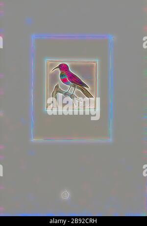 Trochilidae, Print, Hummingbirds sont des oiseaux indigènes des Amériques et constituent la famille biologique des Trochilidae. Ce sont les oiseaux les plus petits, la plupart des espèces mesurant entre 7,5 et 13 cm (3 et 5 po) de longueur. La plus petite espèce d'oiseaux existants est le colibri d'abeilles de 5 cm (2,0 po), qui pèse moins de 2,0 g (0,07 oz)., 1753-1834, réinventé par Gibon, design de glanissement chaleureux et joyeux de la luminosité et des rayons de lumière radiance. L'art classique réinventé avec une touche moderne. La photographie inspirée du futurisme, qui embrasse l'énergie dynamique de la technologie moderne, du mouvement, de la vitesse et révolutionne la culture. Banque D'Images